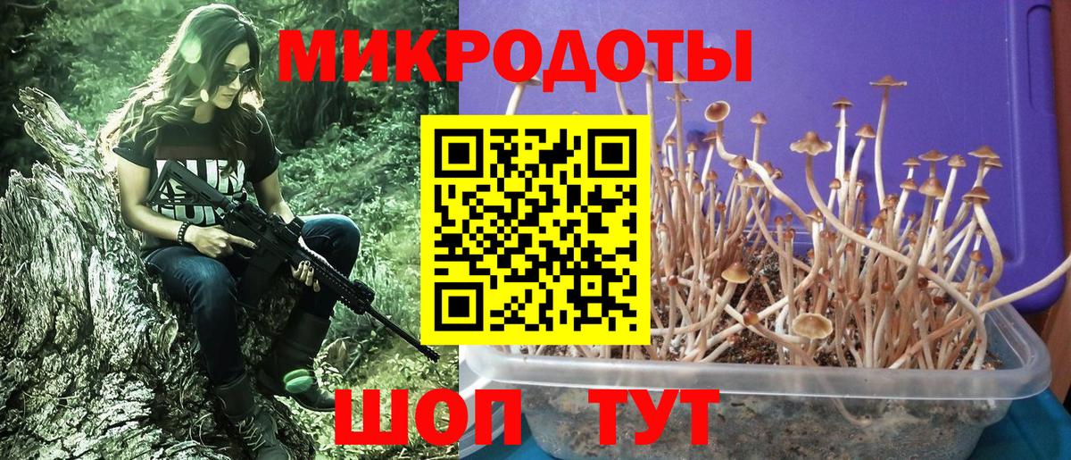 Псилоцибиновые грибы GOLDEN TEACHER  Вход с VPN  Кропоткин 